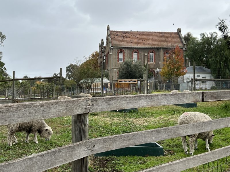 Web Design Abbotsford